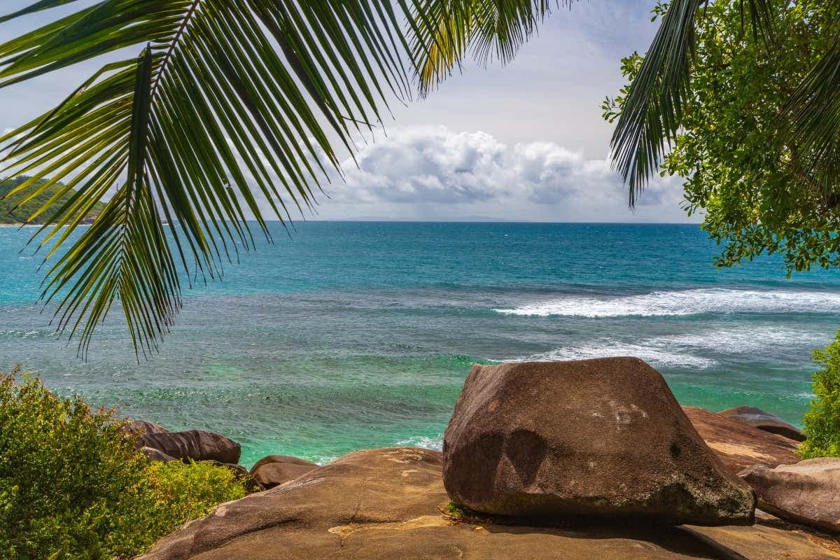 Snorkeling Trip + BBQ Lunch