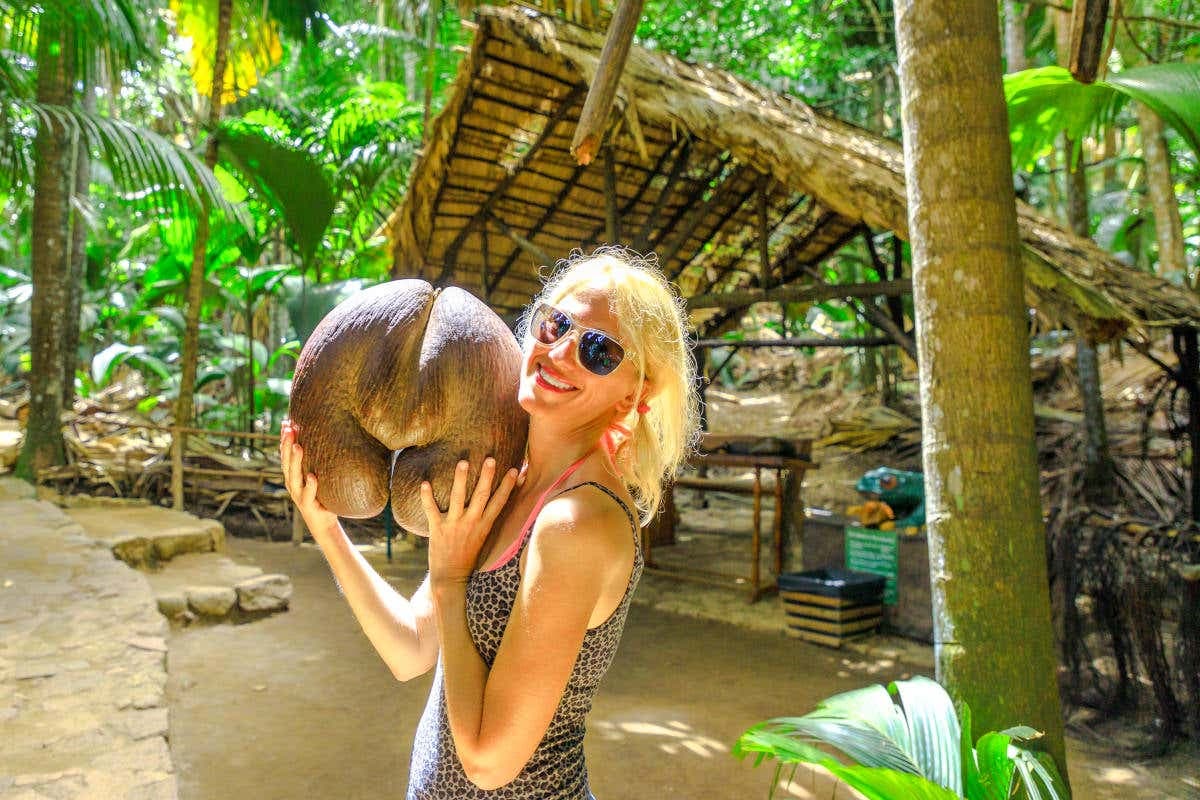 Anse Lazio & Vallee de Mai Day Trip