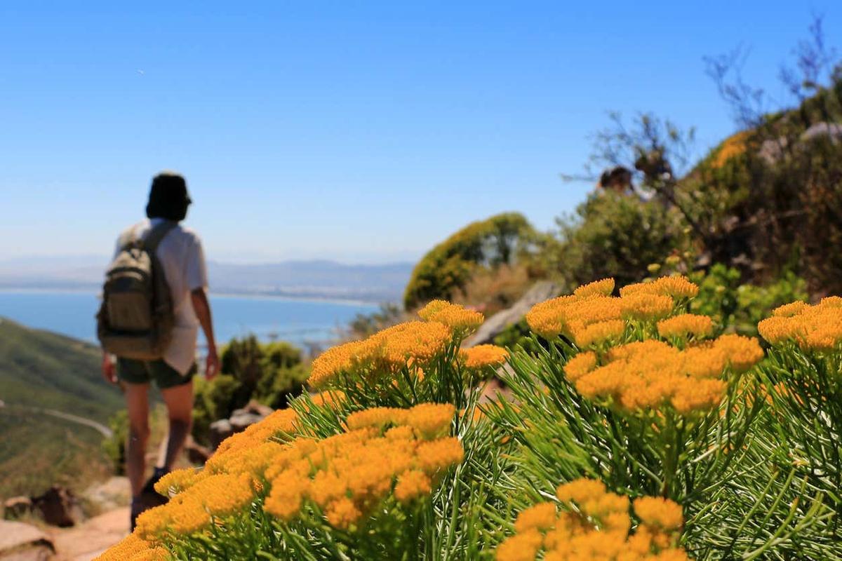 Lion's Head Mountain Hiking Tour