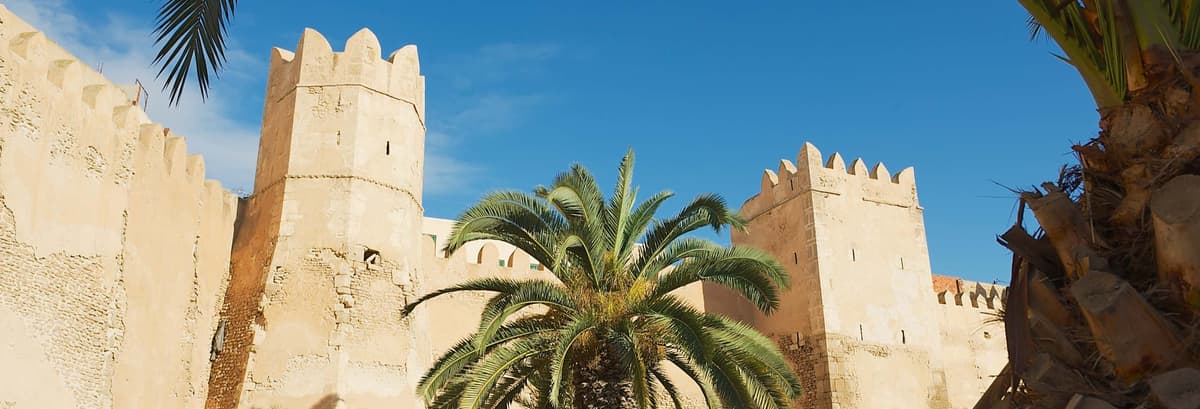 Tour di 8 giorni in Tunisia
