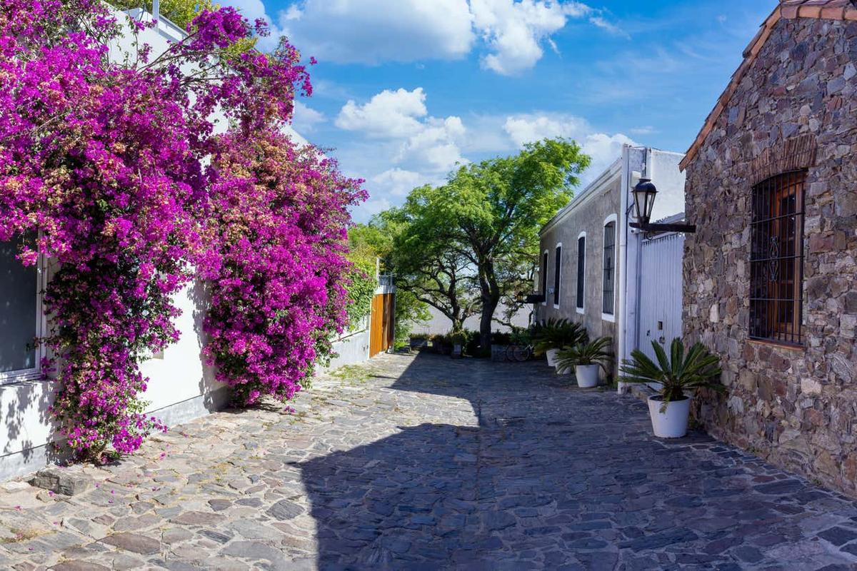 Comida o cena tradicional en el barrio histórico de Colonia del Sacramento