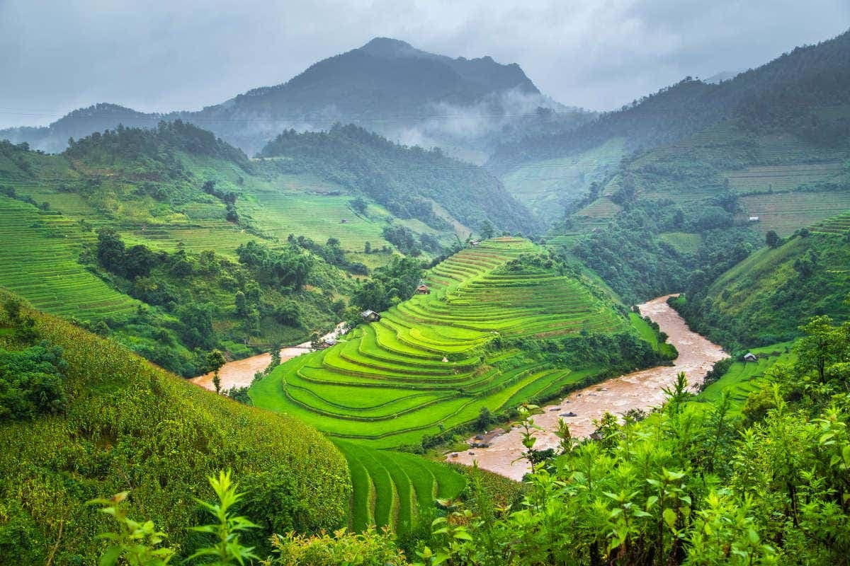 Sapa Rice Terrace Trekking