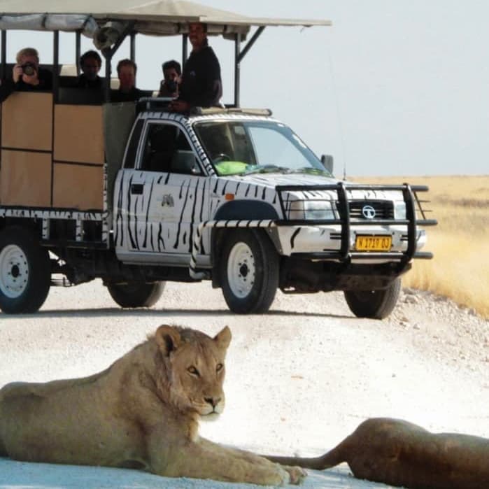 Safari a Etosha in riserva privata e nel parco nazionale  - Etosha National Park