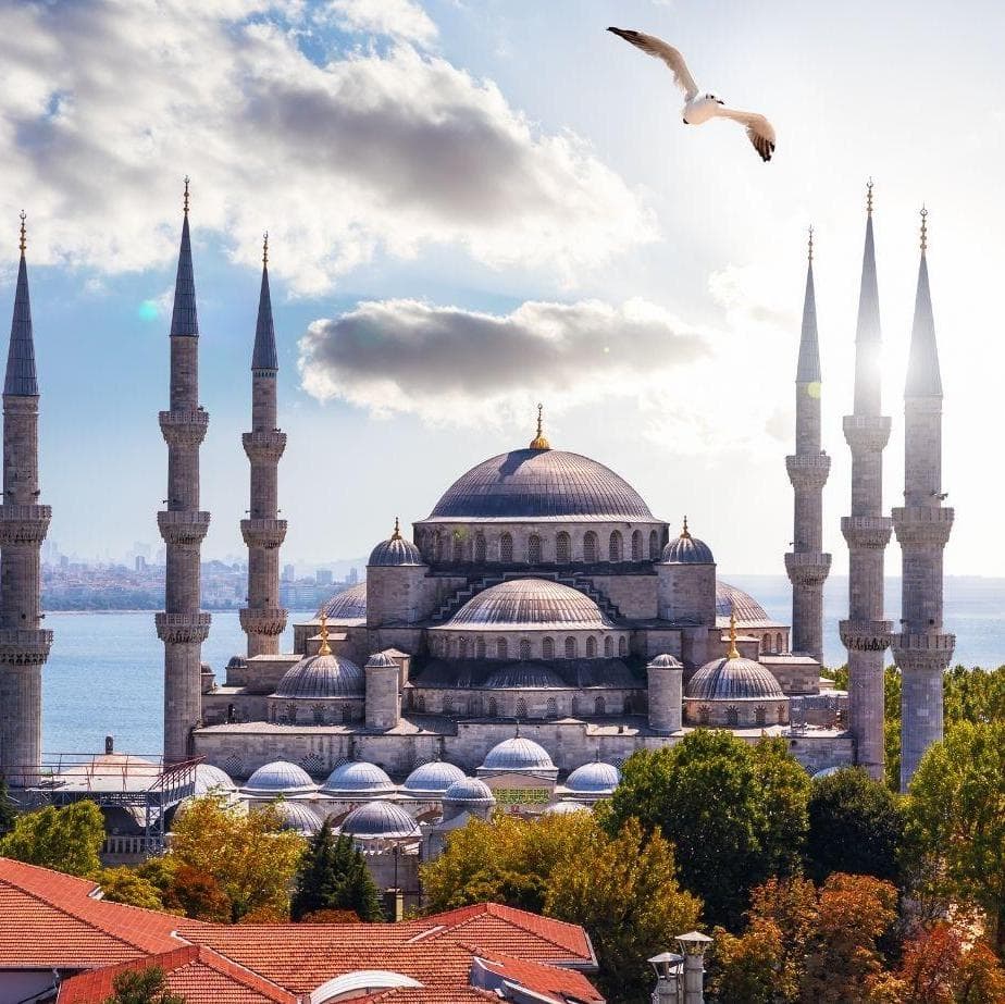Historical Tour with Lunch in Istanbul - Istanbul