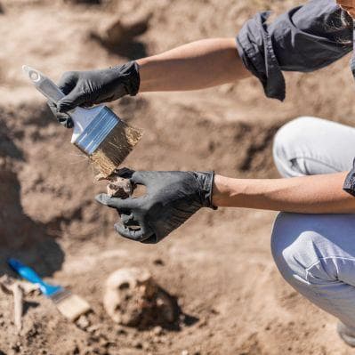 Scoprire le radici dell’uomo al sito paleontologico Point of Human Origin - Mosselbaai