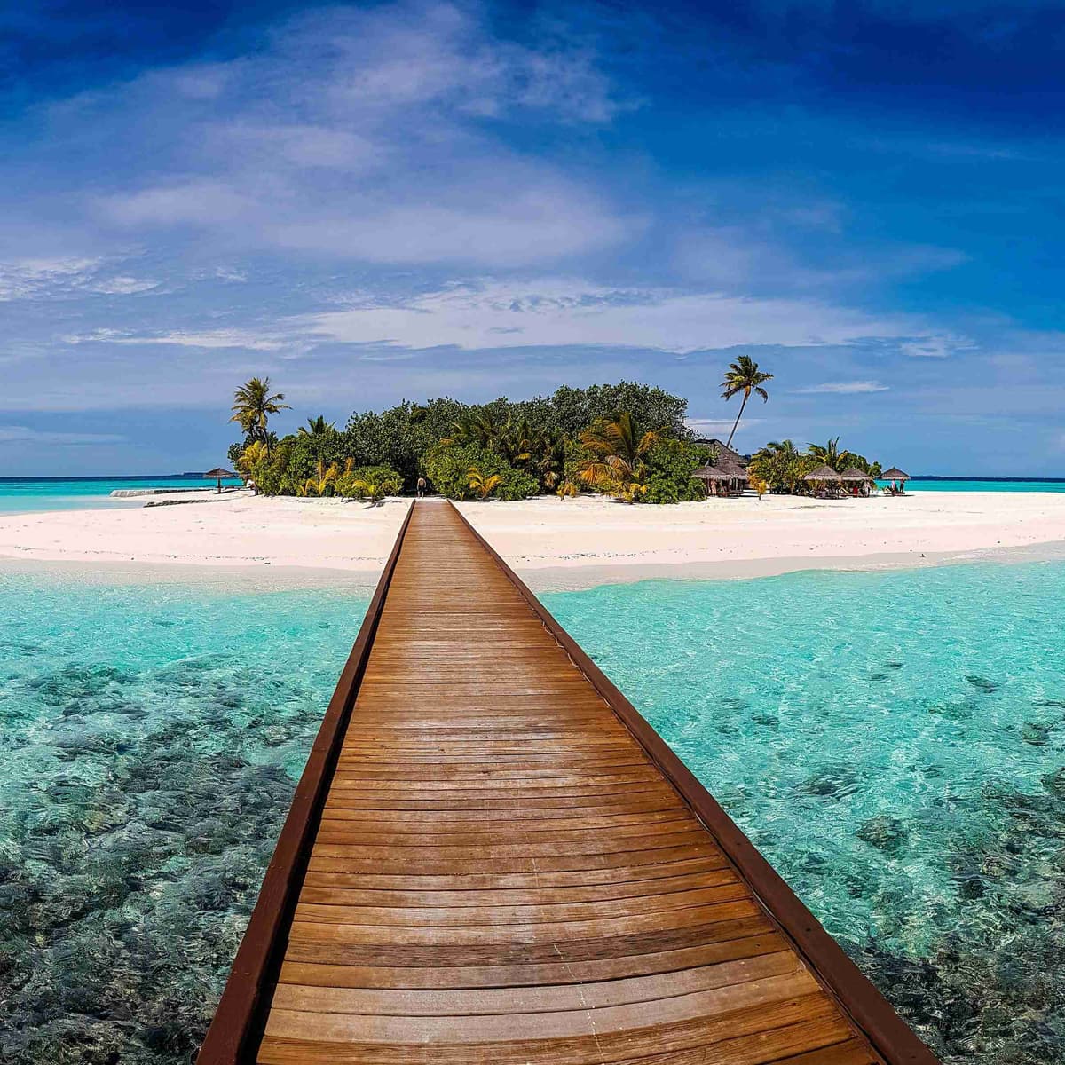 Visit Coral Island or dive the Similan Sea - Phuket