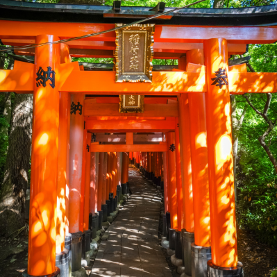 Il viale di Torii rosso vermiglio al tempio Fushimi-Inari Taisha - Kyoto
