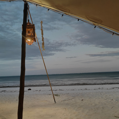 idea di viaggio completa con safari e mare  - Gorongosa