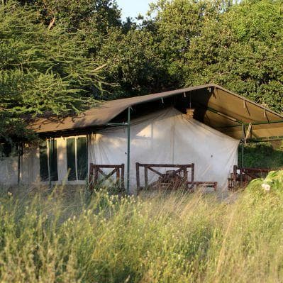 Dormire una notte in lodge con tende, come veri esploratori - Parco Nazionale del Lago Mburo