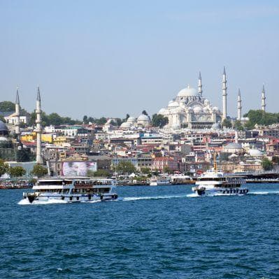 Minicrociera sul Bosforo per ammirare la città da un diverso punto di osservazione - Istanbul