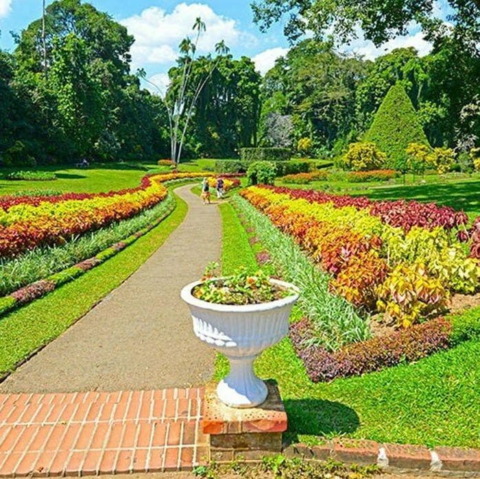 Eingang zum Königlichen Botanischen Garten Peradeniya - Kandy