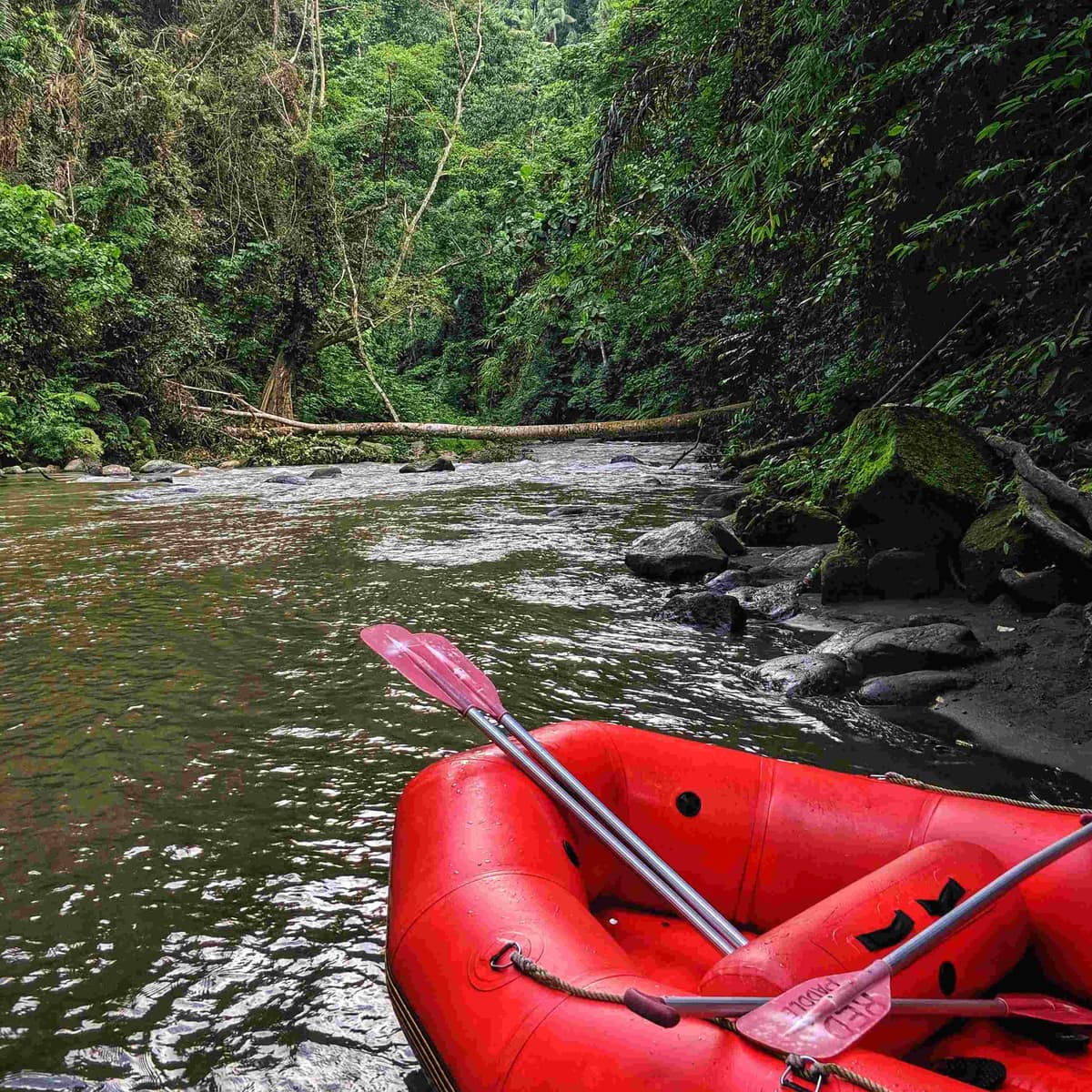 White Water Rafting – Descending the Ayung River - North Bali