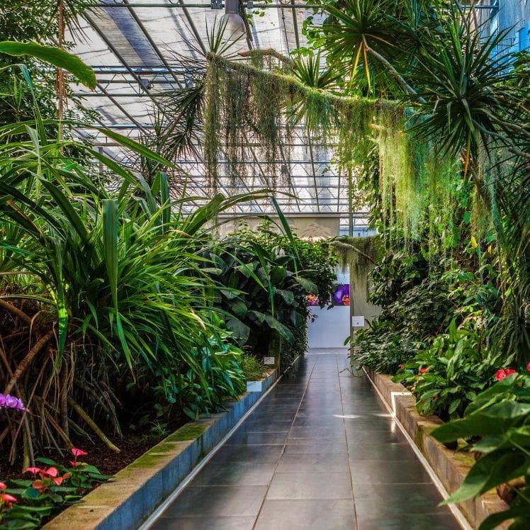 DAY 5 - Mala Nedelja