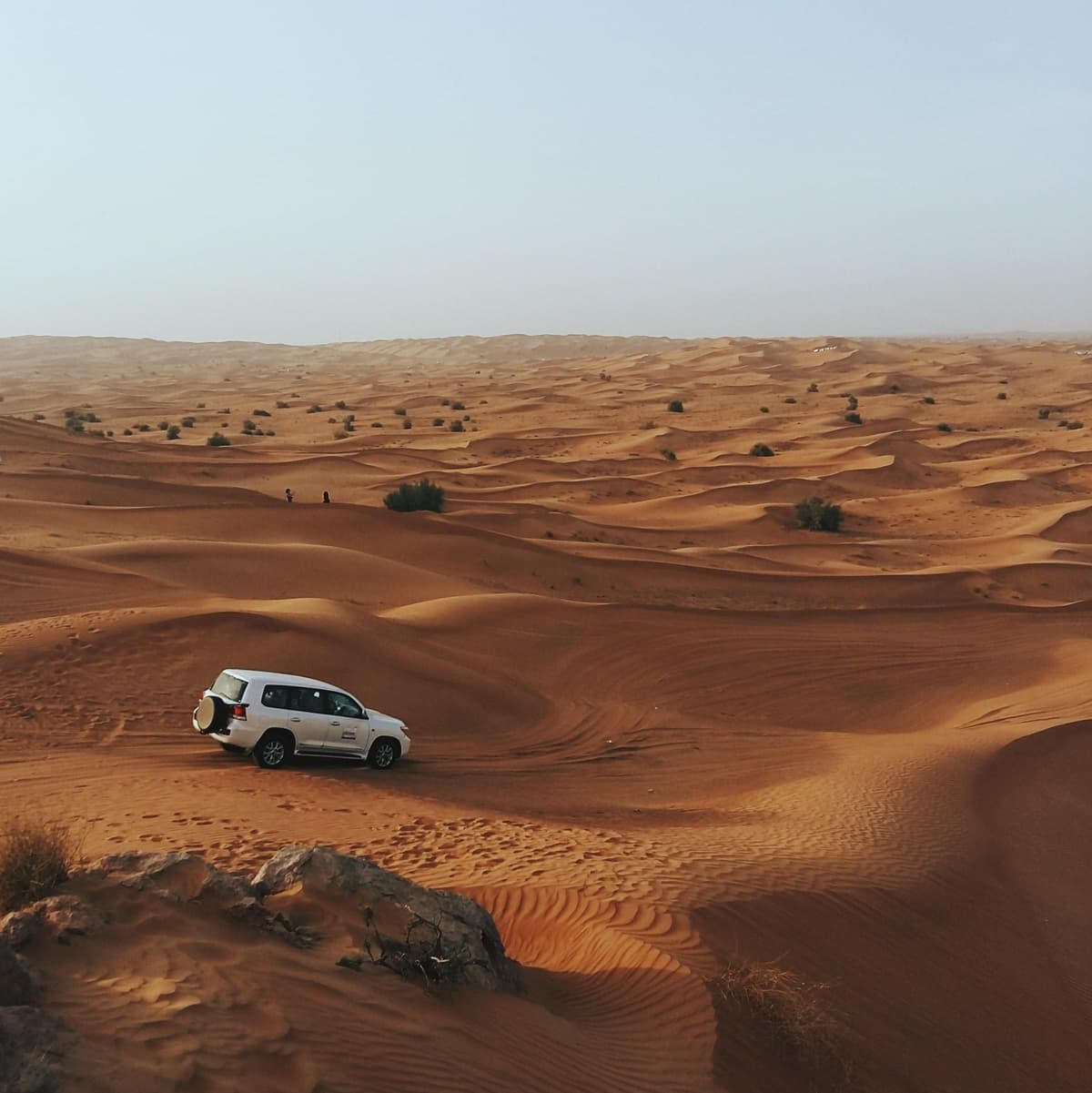 Desert Safari - Dubai