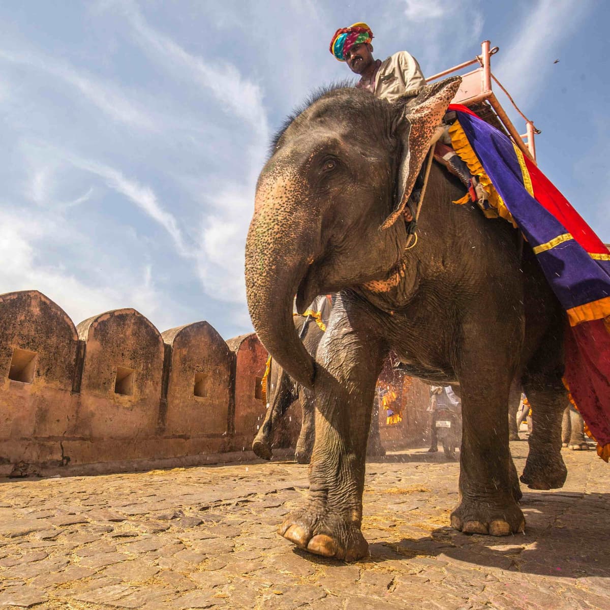 River descent (rafting) and elephant trekking (elephant trekking) - Phuket