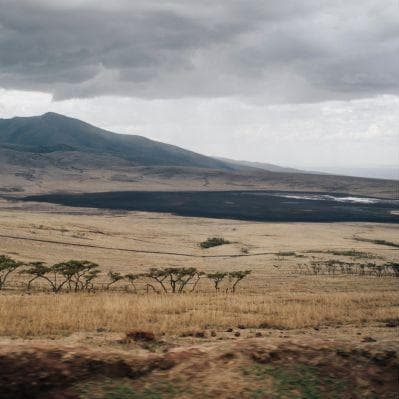 Safari nell’Ngorongoro Crater Conservation Area, nel Serengeti Natl. Park e nel Tarangire Natl. Park - Serengeti (Tanzania)