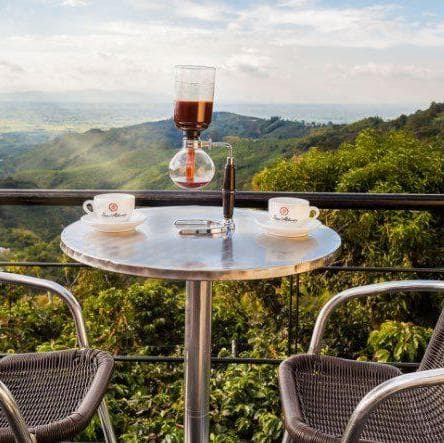 Día 10. Medellín - Armenia - Experiencia del Café  - Armenia, Quindio