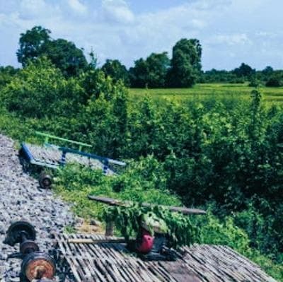 Esperienza a bordo dell’originale “treno di bambù” a Battambang - Battambang