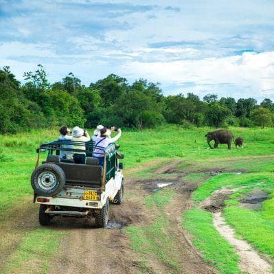Ammirare la fauna dello Sri Lanka ai Parchi Nazionali di Minneriya e Yala. - Yala National Park