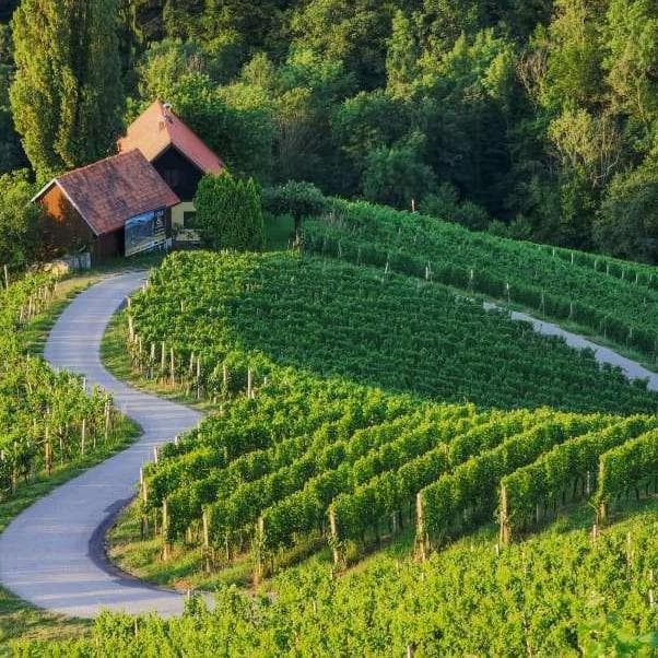 DAY 8 - Mala Nedelja