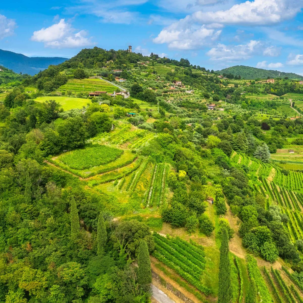 Bergamo Alta und Weinverkostung in Franciacorta - Bergamo