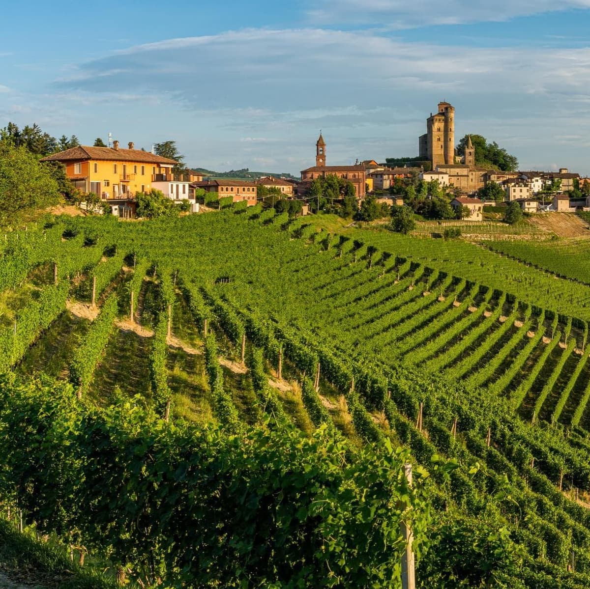 Guided tour of Alba and Bra with tasting - Turí