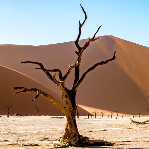 Cooking class - Windhoek