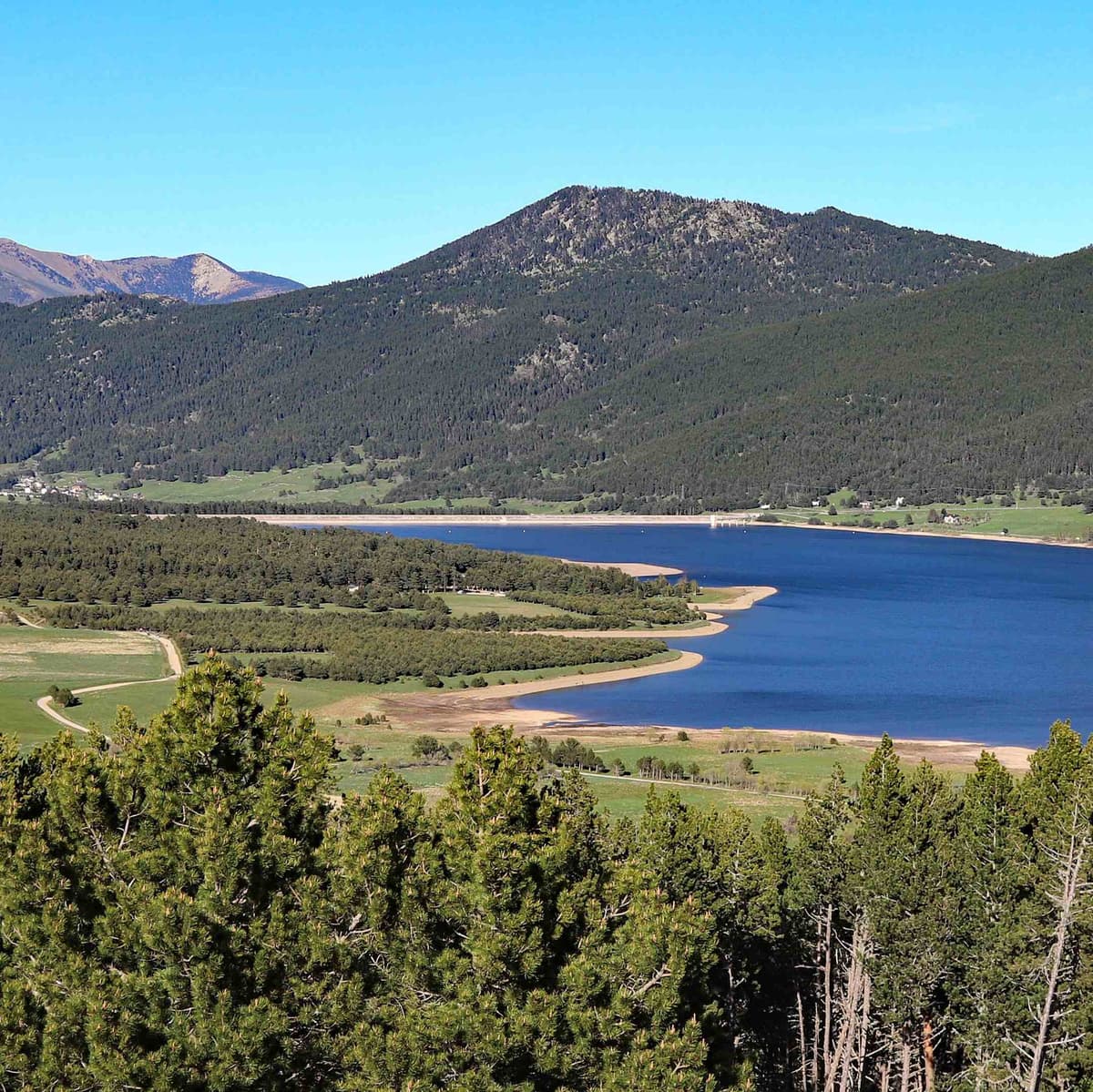 Animal Park of the Pyrenees - Lourdes