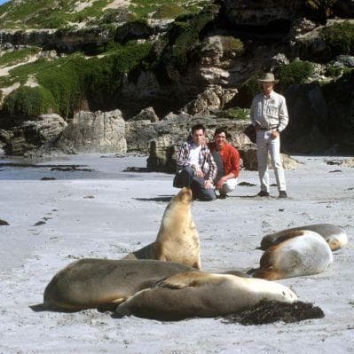 Scoprire la magia di Kangaroo Island e dei suoi animali - Kangaroo Island