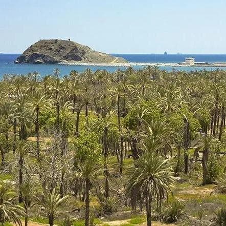 Fujairah & Khor Fakkan Tour en español 8 horas - Fujairah