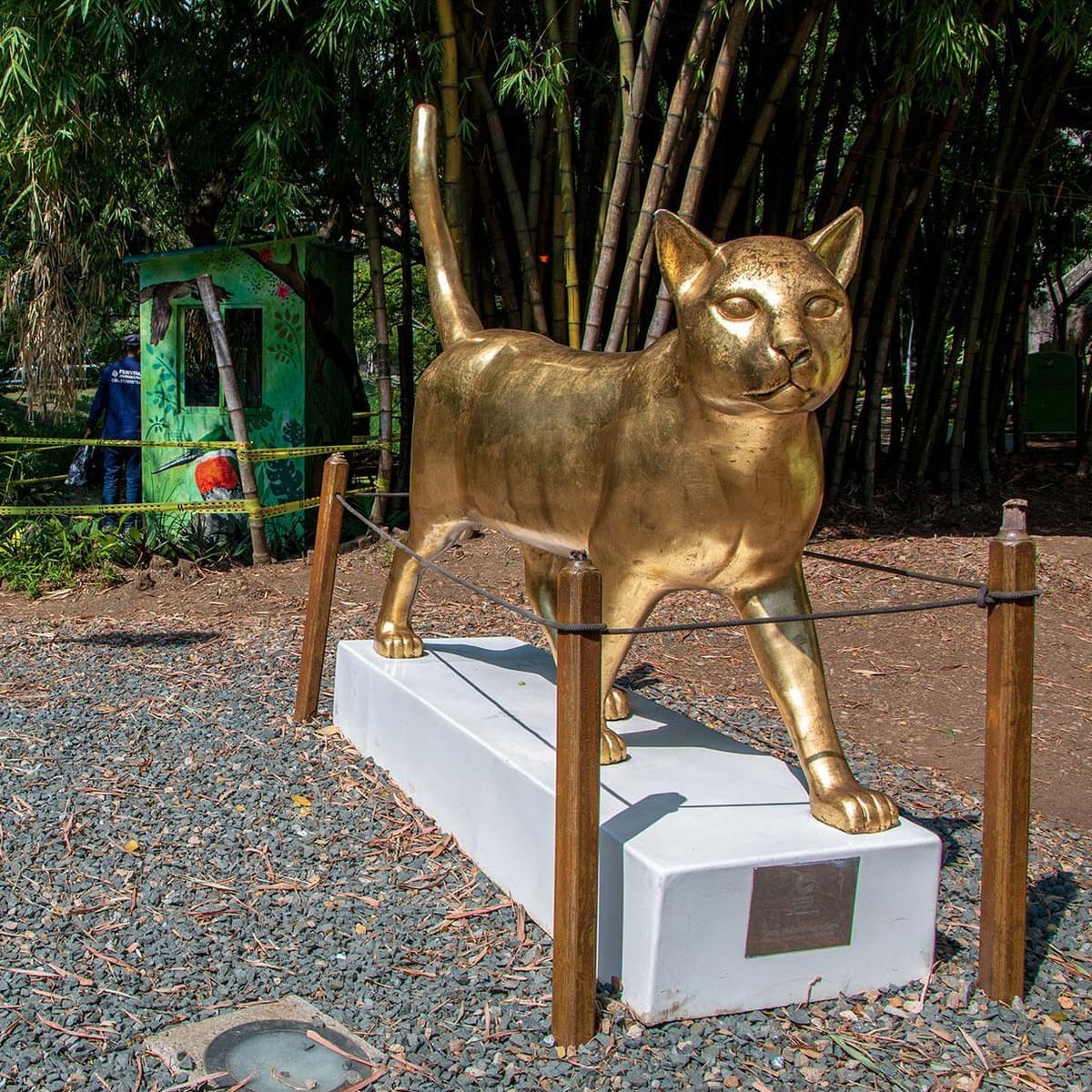 Dia 2. Cali - City tour - Cali