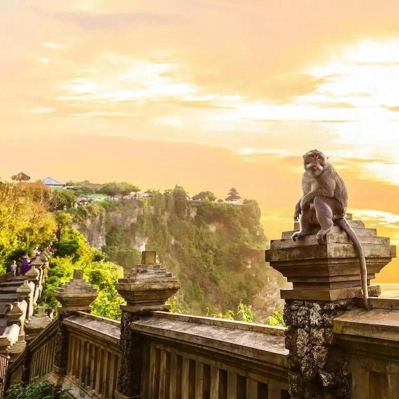 Uluwatu VW Safari - Sanur, Bali