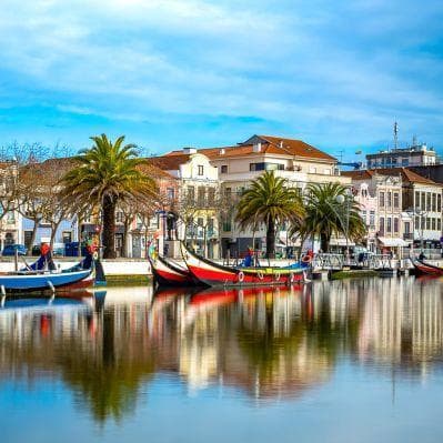 Aveiro, cittadina intersecata da suggestivi canali dove i barcaioli spingono con la pertica imbarcazioni colorate a collo di cigno dette Moliceiros - Porto