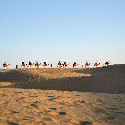 Una passeggiata nel deserto del Thar a dorso di dromedario  - Jaipur
