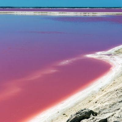 Visita Riserva della Biosfera di Rio Largatos  - Valladolid