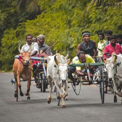 Scoprire la vita dei villaggi rurali a Hiriwadunna. - Sigiriya