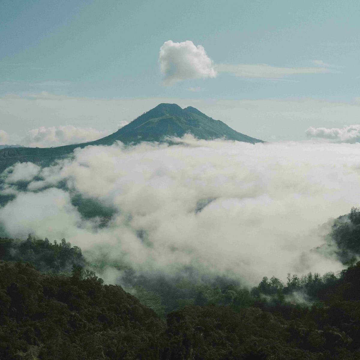 Full day excursion to the volcano Kintamani - North Bali