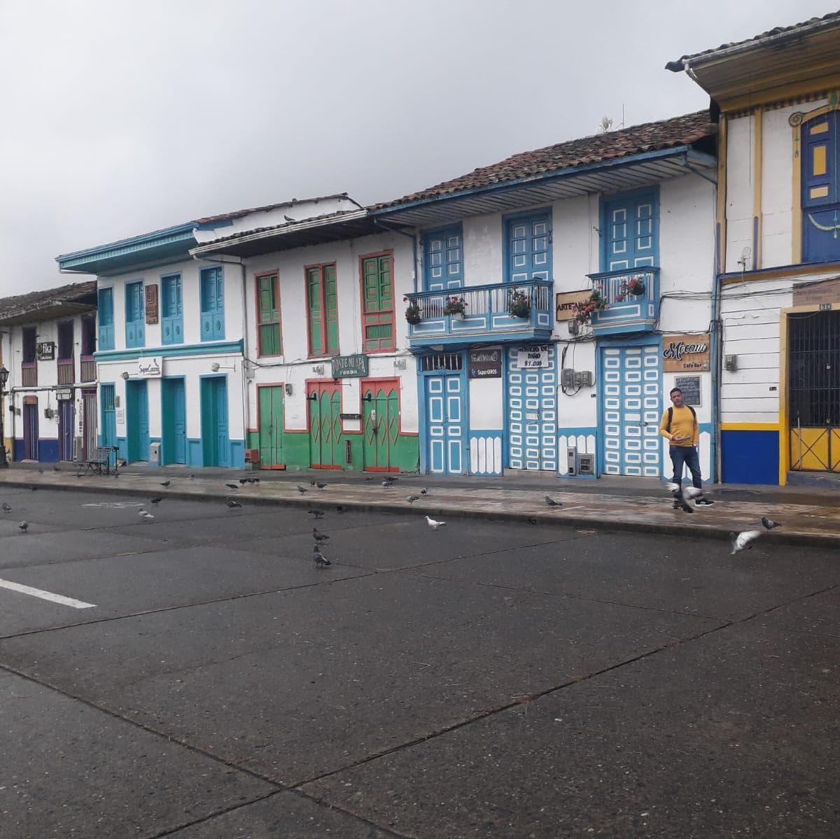 Día 11. Tour al Valle del Cocora – Salento  - Armenia, Quindio