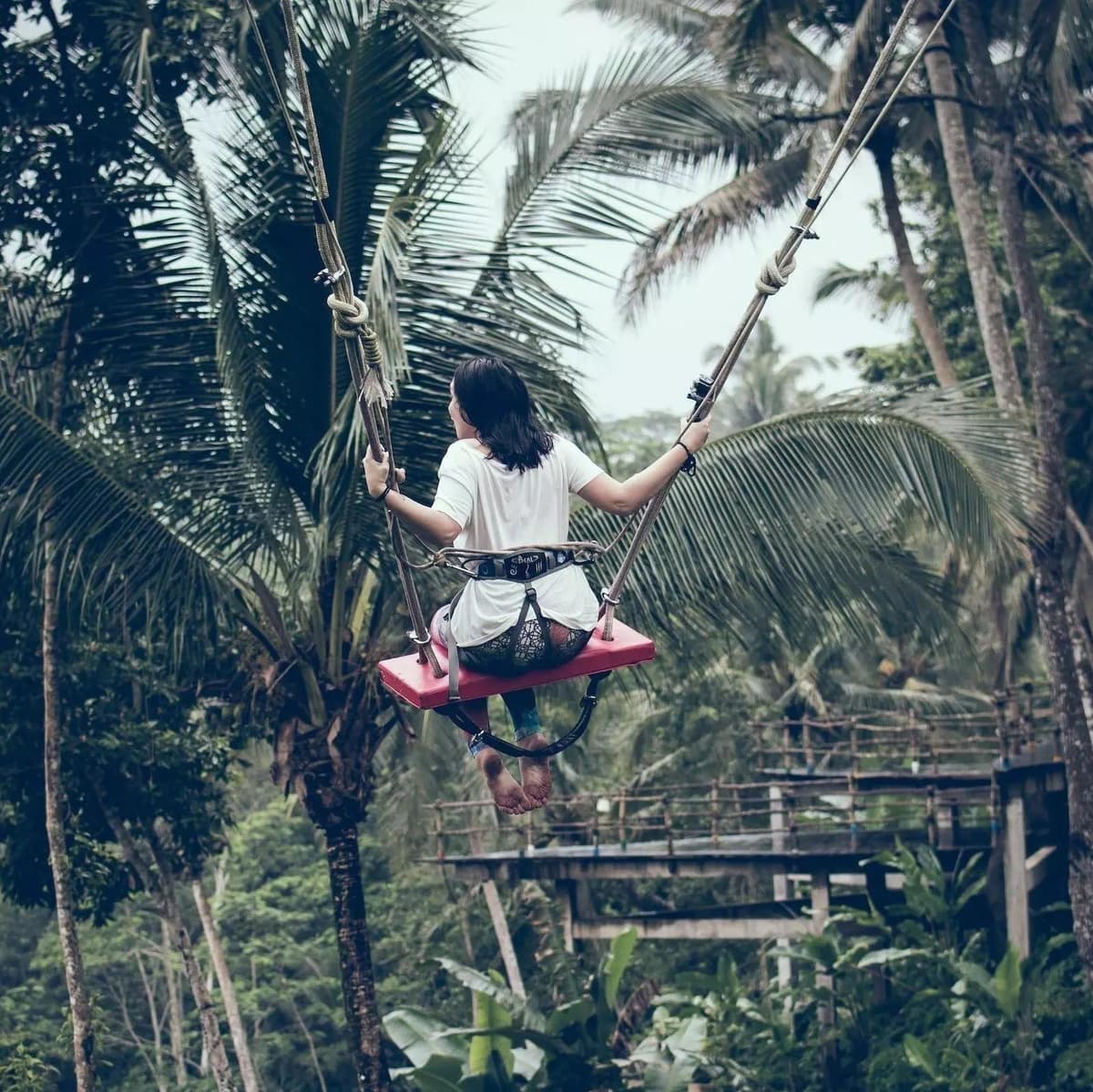 Best of Ubud with Jungle Swing - Ubud, Bali