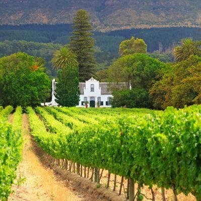 Catturare immagini uniche della fauna africana nella riserva privata - Mpumalanga