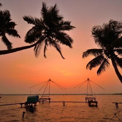 Escursione in barca per esplorare il pittoresco villaggio di Kumbalanghi - Kumarakom