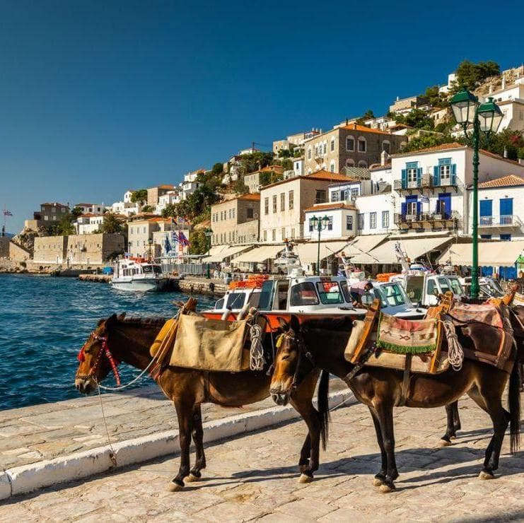 1 Day Cruise to the Islands (Aegina-Poros-Hydra) - אתונה