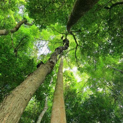 Visita al Parco Nazionale di Namkat Yorla Pa con alloggio in eco-resort - Luang Prabang