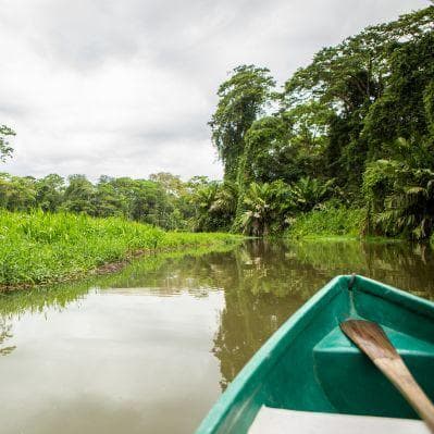 Scoprire la fauna del Tortuguero tra sestieri e i canali navigabili - Tortuguero