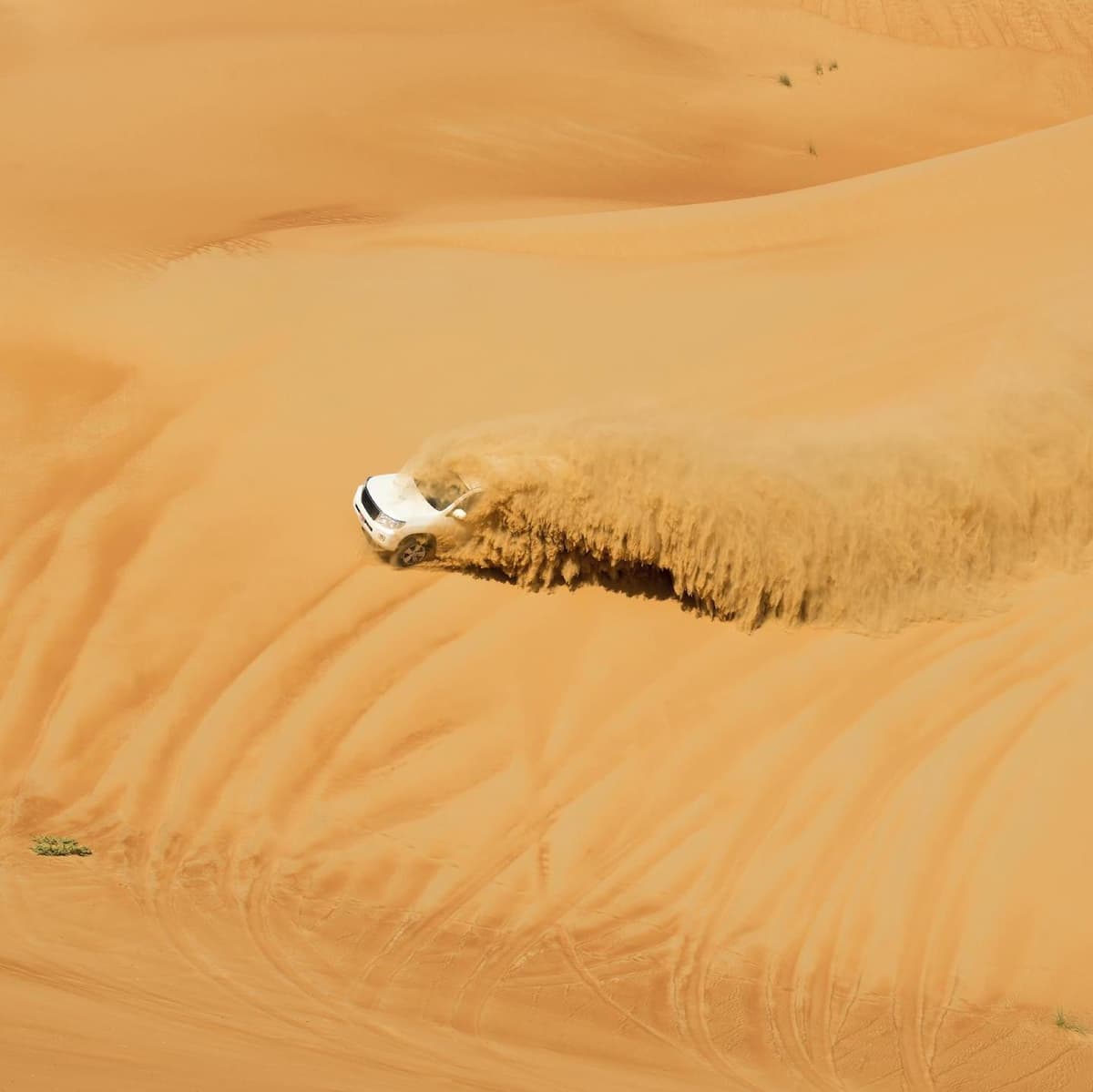 Desert Safari - Dubai