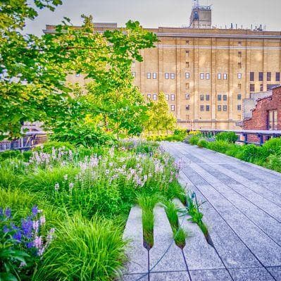 High Line Park una delle passeggiate più scenografiche di New York - New York City NY