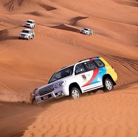 Desert Safari 4 x 4 - Dubai