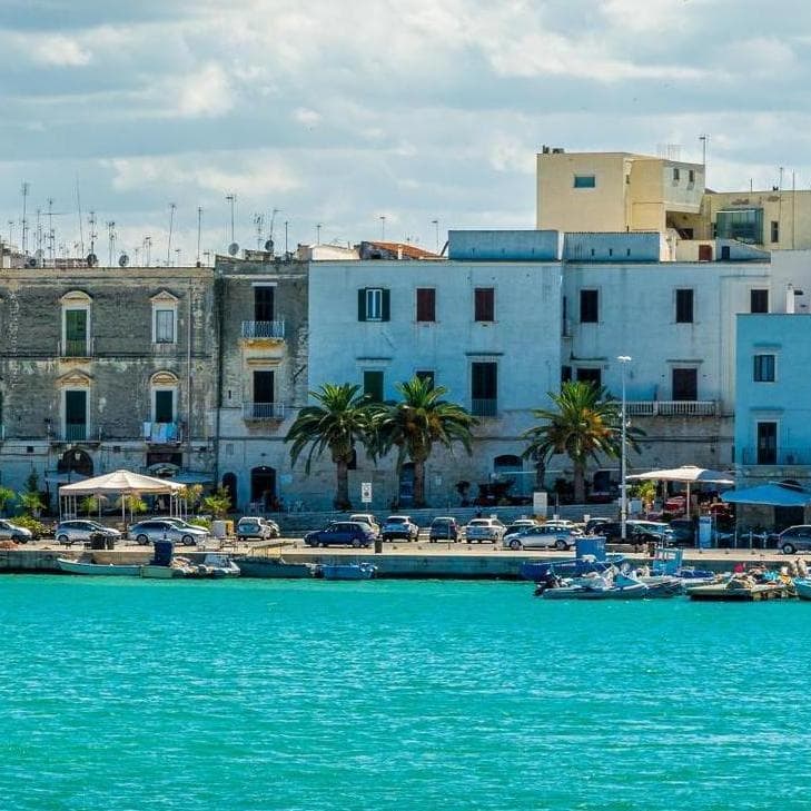 Castel del Monte di Andria - Andria
