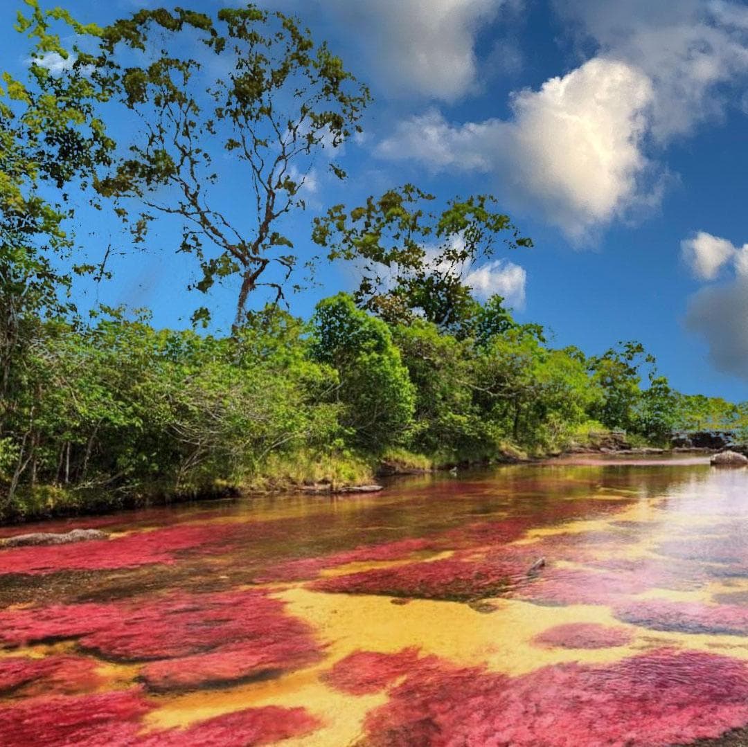 Día 3. La Macarena - Visita Parque Nacional Serranía de La Macarena - La Macarena