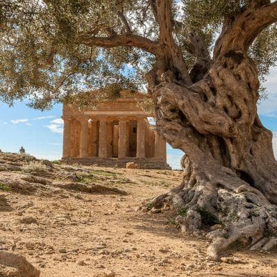 La Valle dei Templi di Agrigento, il parco archeologico del periodo ellenico fra i meglio conservati al mondo - Agrigento, Sicilia